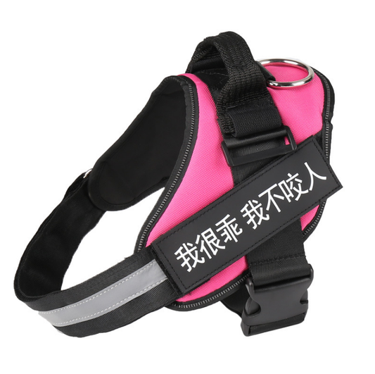 Padded mesh dog harness with reflective trim shown in multiple colors