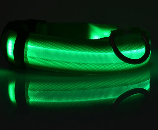 USB charging port detail on LED dog collar