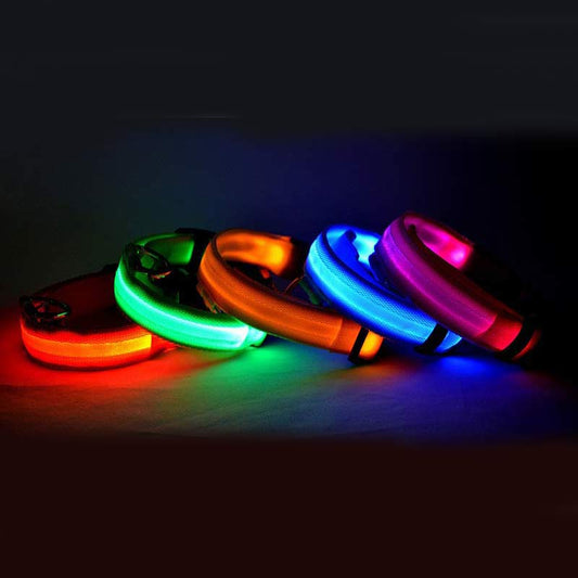 PetNest rechargeable LED safety collar glowing on dog at night
