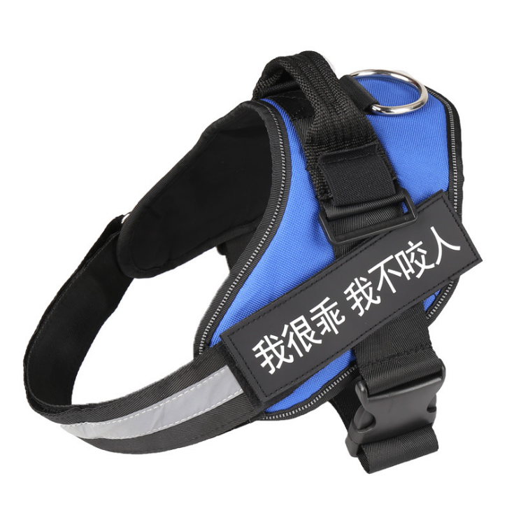 Padded mesh harness detail for daily walks