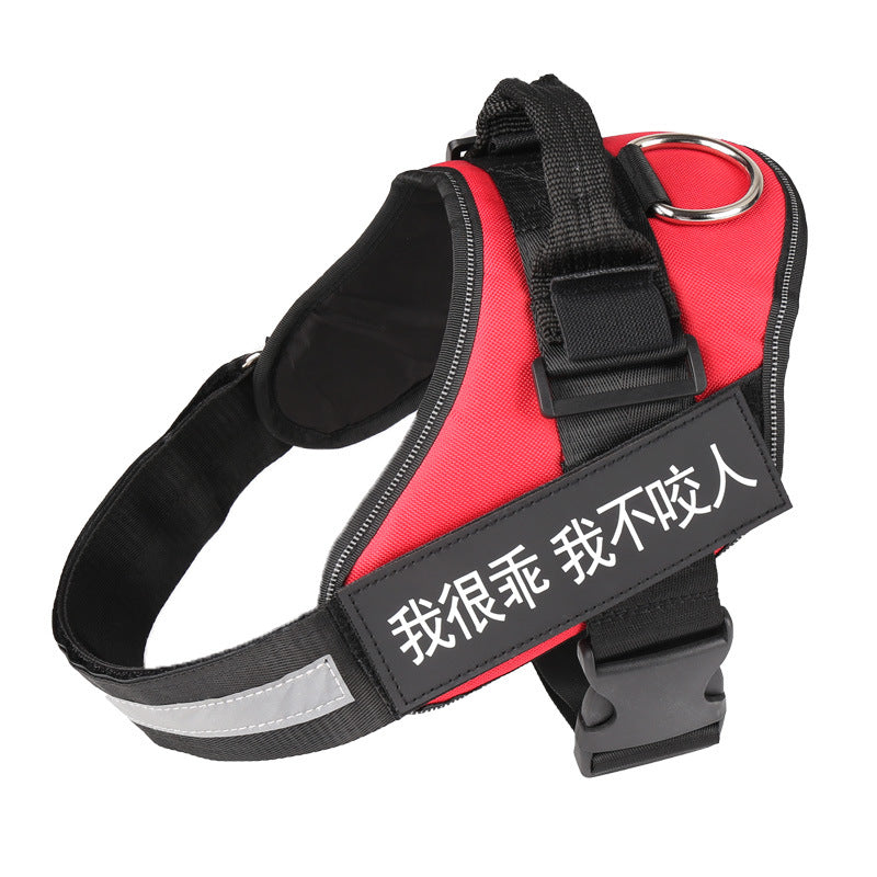 Reflective stripe on dog harness glowing during evening walk