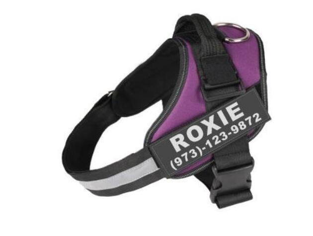Adjustable reflective dog harness for XS and S sizes
