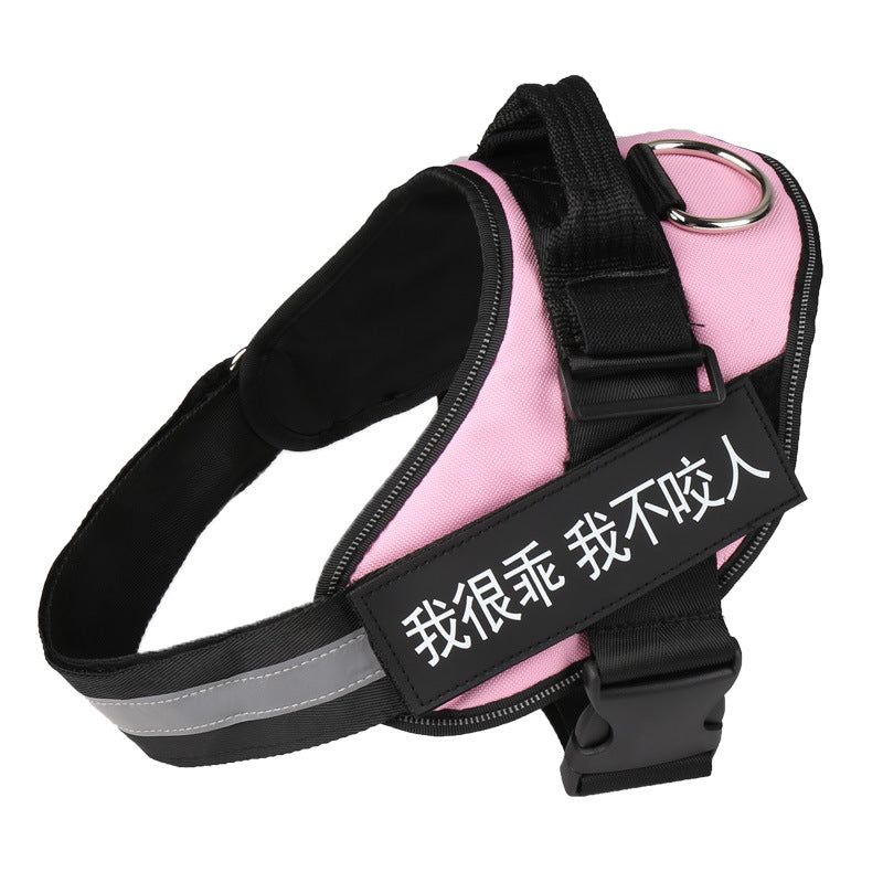 Adjustable 4-point fit harness on small puppy
